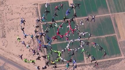 Sports extrêmes : 96 parachutistes en chute libre pour un record du monde (France 2)